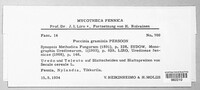 Puccinia graminis image
